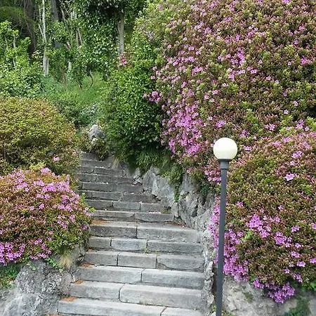 דירה Residenza Del Pascia - Camphora אוג'ביו