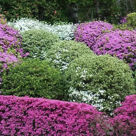 Апартаменты Residenza Del Pascia - Camphora *